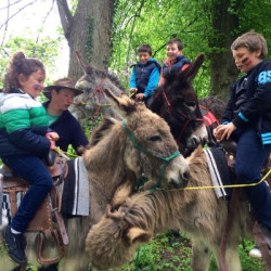 Alt de la vignette test1